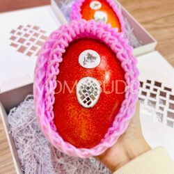 Japanese Hokkaido Otofuke Hakugin no Taiyo Premium Mango