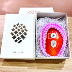 Japanese Hokkaido Otofuke Hakugin no Taiyo Premium Mango Gift Box (2L, 400g)