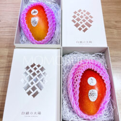 Japanese Hokkaido Otofuke Hakugin no Taiyo Premium Mango Gift Boxes (2L, 400g)