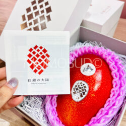 Japanese Hokkaido Otofuke Hakugin no Taiyo Premium Mango brochure