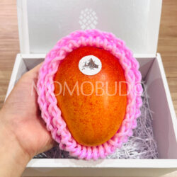 Japanese Hokkaido Otofuke Hakugin no Taiyo Mango Japanese Hokkaido Otofuke Hakugin no Taiyo Mango