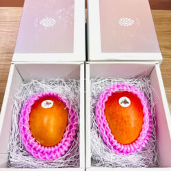 Japanese Hokkaido Otofuke Hakugin no Taiyo Mango Gift Boxes (300g) Japanese Hokkaido Otofuke Hakugin no Taiyo Mango Gift Boxes (300g)