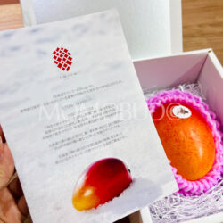 Japanese Hokkaido Otofuke Hakugin no Taiyo Mango brochure Japanese Hokkaido Otofuke Hakugin no Taiyo Mango brochure