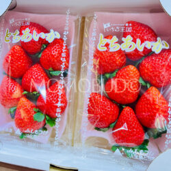 Japanese Strawberry Kingdom Tochiaika Strawberry 280gx2 1