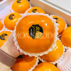 Japanese Wakayama Kishu Temari Persimmon Japanese Wakayama Kishu Temari Persimmon