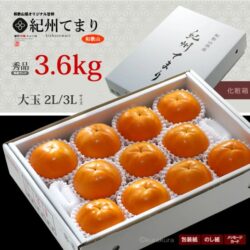 Japanese Wakayama Kishu Temari Persimmon Gift Box (4kg) Japanese Wakayama Kishu Temari Persimmon Gift Box (4kg)