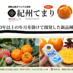 Japanese Wakayama Kishu Temari Persimmon sweetness Japanese Wakayama Kishu Temari Persimmon sweetness