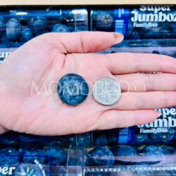 Peru Family Tree Farms™ Super Jumboz Blueberry (200g punnet) size comparison