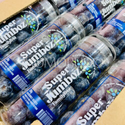 Peru Family Tree Farms™ Super Jumboz Blueberry (200g punnets)