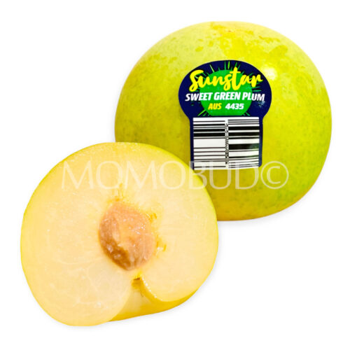 Australian Emerald Blush Plum Australian Emerald Blush Plum