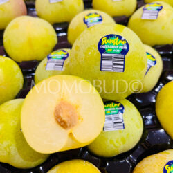 Australian Emerald Blush Plum cross section Australian Emerald Blush Plum cross section