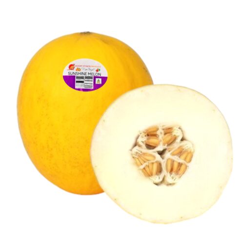 Australian Sunshine Melon