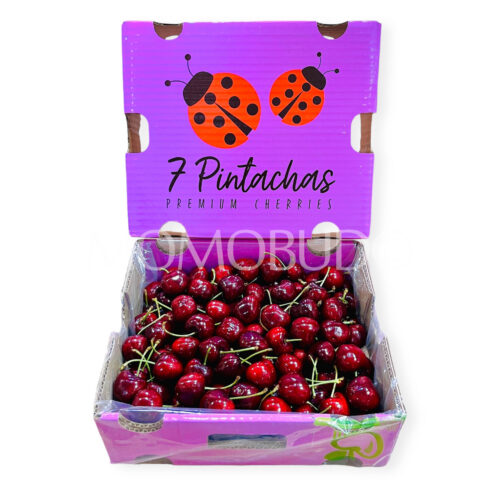 Chilean 7 Pintachas Lapin Red Cherry Gift Box (2.5kg)