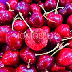Chilean 7 Pintachas Lapin Red Cherry cross section