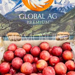 Chilean Candy Pixie Cherry Plum Gift Box (2.5kg, 3J) Chilean Candy Pixie Cherry Plum Gift Box (2.5kg, 3J)