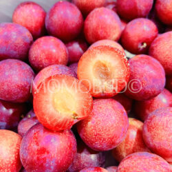 Chilean Candy Pixie Cherry Plum cross section Chilean Candy Pixie Cherry Plum cross section