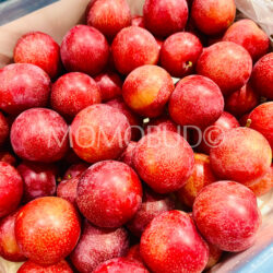 Chilean Cherry Pixie Plums Chilean Cherry Pixie Plums