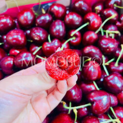 Chilean Frutea Santina Red Cherry cross section (4J)