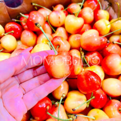 Chilean Skylar Rae Cherry (2kg, 3J) 30mm+ Chilean Skylar Rae Cherry (2kg, 3J) 30mm+