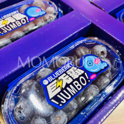 China Explosive Jumbo Yunnan Blueberry (200g punnets)