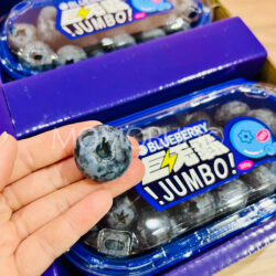 China Explosive Jumbo Yunnan Blueberry