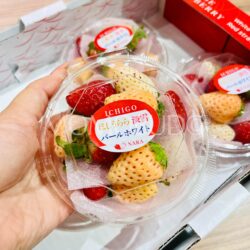 Japanese Nara Mini Strawberry(Pearl White Awayuki Hoshiurara) 80g cups