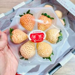 Japanese Nara Strawberry (Awayuki) 120g punnet 1