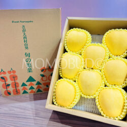 Japanese Princess Haruka Apple Gift Box (3kg) 1