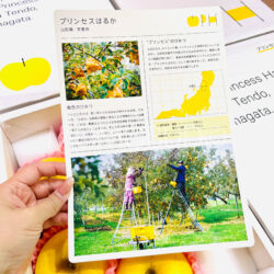 Japanese Princess Haruka Apple brochure back