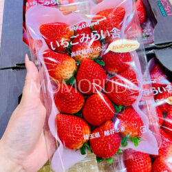 Japanese Saitama OishiC Berry Ichigo (Strawberry) 260g