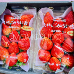 Japanese Saitama OishiC Berry Ichigo (Strawberry) 260gx2
