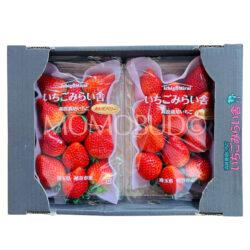 Japanese Saitama OishiC Berry Ichigo (Strawberry) 260gx2
