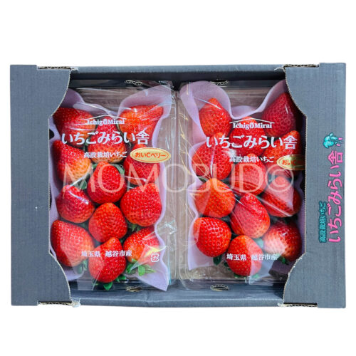 Japanese Saitama OishiC Berry Ichigo (Strawberry) 260gx2