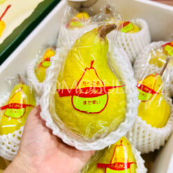 Japanese Yamagata Le Lectier Pear Japanese Yamagata Le Lectier Pear