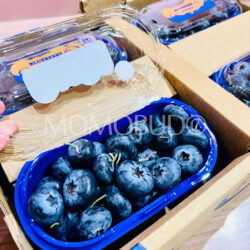 Jumbo China Yunnan Blueberries 24mm+