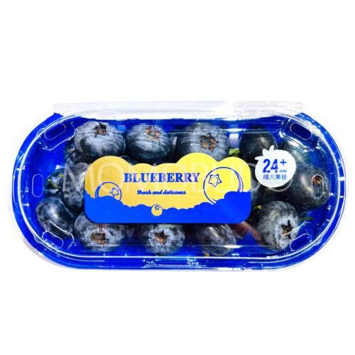Jumbo China Yunnan Blueberry 24mm+ (200g punnet)
