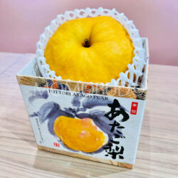 Jumbo Japanese Okayama Atago Pear Gift Box (1.6-1.7kg, 1pc) 1 Jumbo Japanese Okayama Atago Pear Gift Box (1.6-1.7kg, 1pc) 1