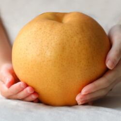 Jumbo Japanese Okayama Atago Pear size Jumbo Japanese Okayama Atago Pear size