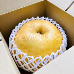 Jumbo Japanese Tottori Atago Pear (1.7kg) Jumbo Japanese Tottori Atago Pear (1.7kg)