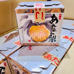 Jumbo Japanese Tottori Atago Pear Gift Box (1.7kg, 1pc) Jumbo Japanese Tottori Atago Pear Gift Box (1.7kg, 1pc)