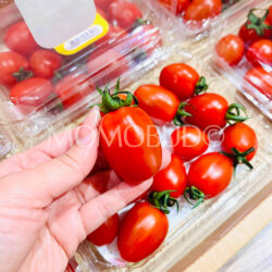 Korean Candy Cherry Tomato