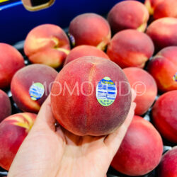 Lowana Pearl Princess White Peach