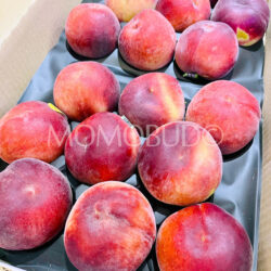 Zest® Australia White Peaches Zest® Australia White Peaches
