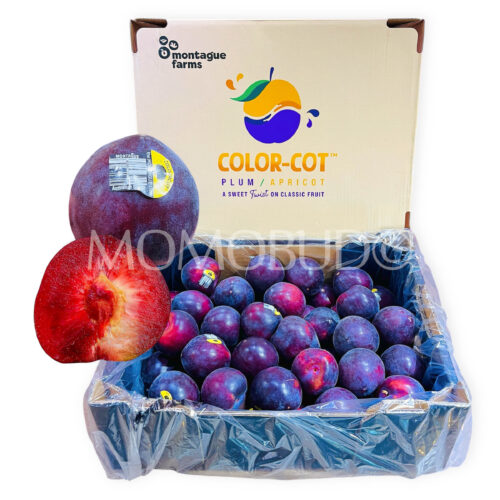 Australian The Montague Tree Color-Cot™ Bella Red Plumcot Box