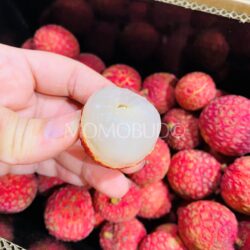 Autralian Sun Lychee Salathiel (Lou Mai Chee) Lychee