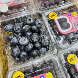 Berryworld® Jumbo Blueberries