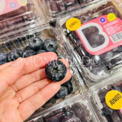 Berryworld® Jumbo Blueberry