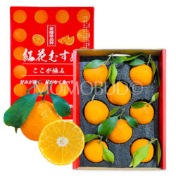 China Benihana Musume Jelly Orange Gift Box (2.25kg approx)