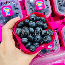 China Bright Eye Train Blueberries China Bright Eye Train Blueberries