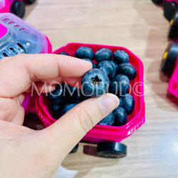 China Bright Eye Train Blueberry China Bright Eye Train Blueberry